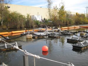 A body of water with boats in it Description automatically generated with low confidence