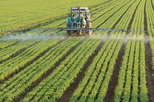 Fertilizer Spraying On Field